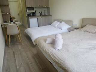 Апарт-отели Smart Apartment Powered By Amazon’s Alexa Гудаури Номер-студио-8