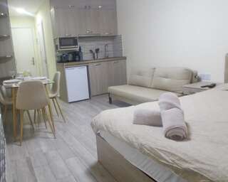 Апарт-отели Smart Apartment Powered By Amazon’s Alexa Гудаури Номер-студио-16